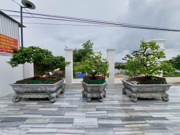 z3761552236743_715b26b6ee4d310abd15df092877d41c